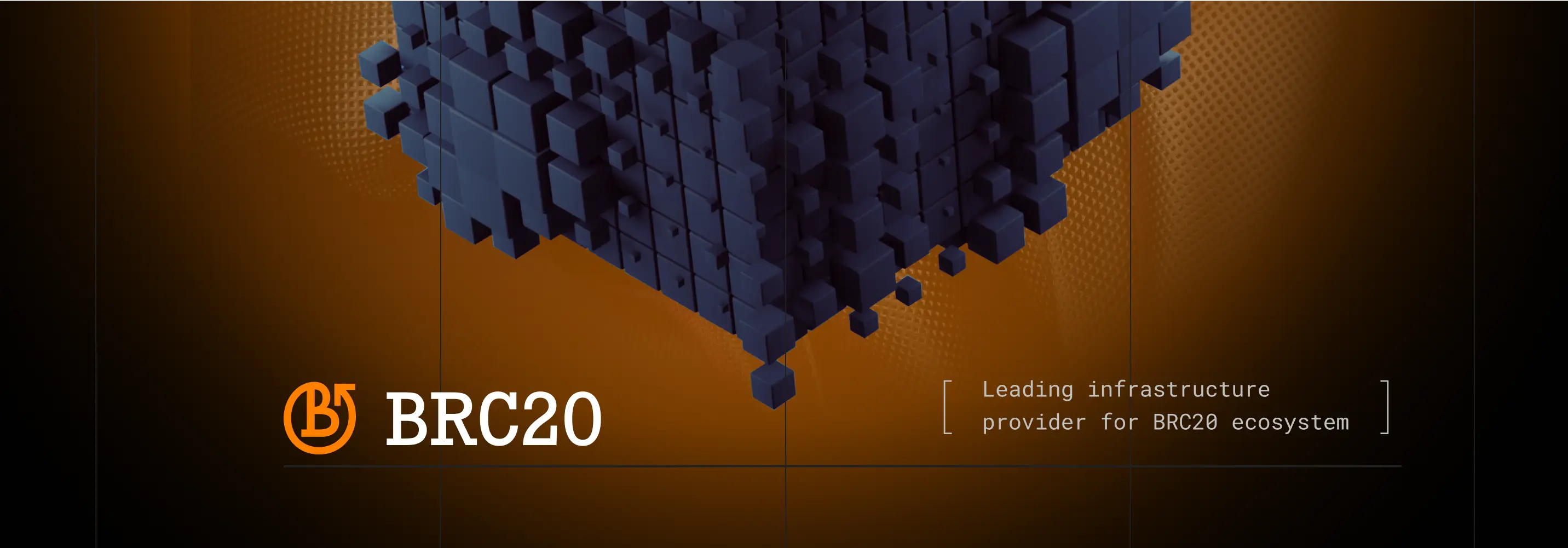 BRC20 banner